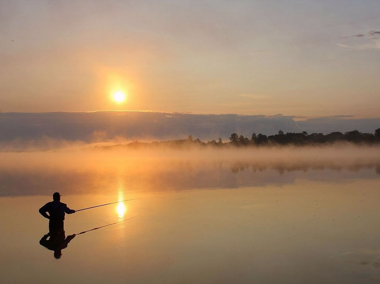 El mismo camino al lago en las cuatro estaciones del año